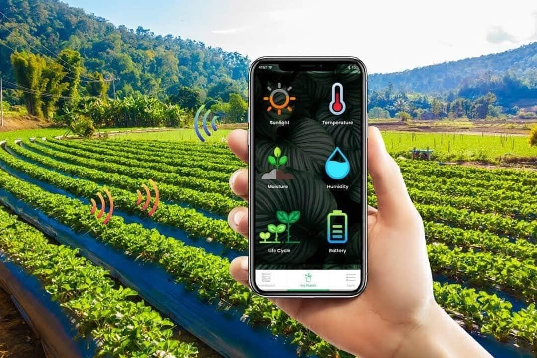 Mobile Kontrol